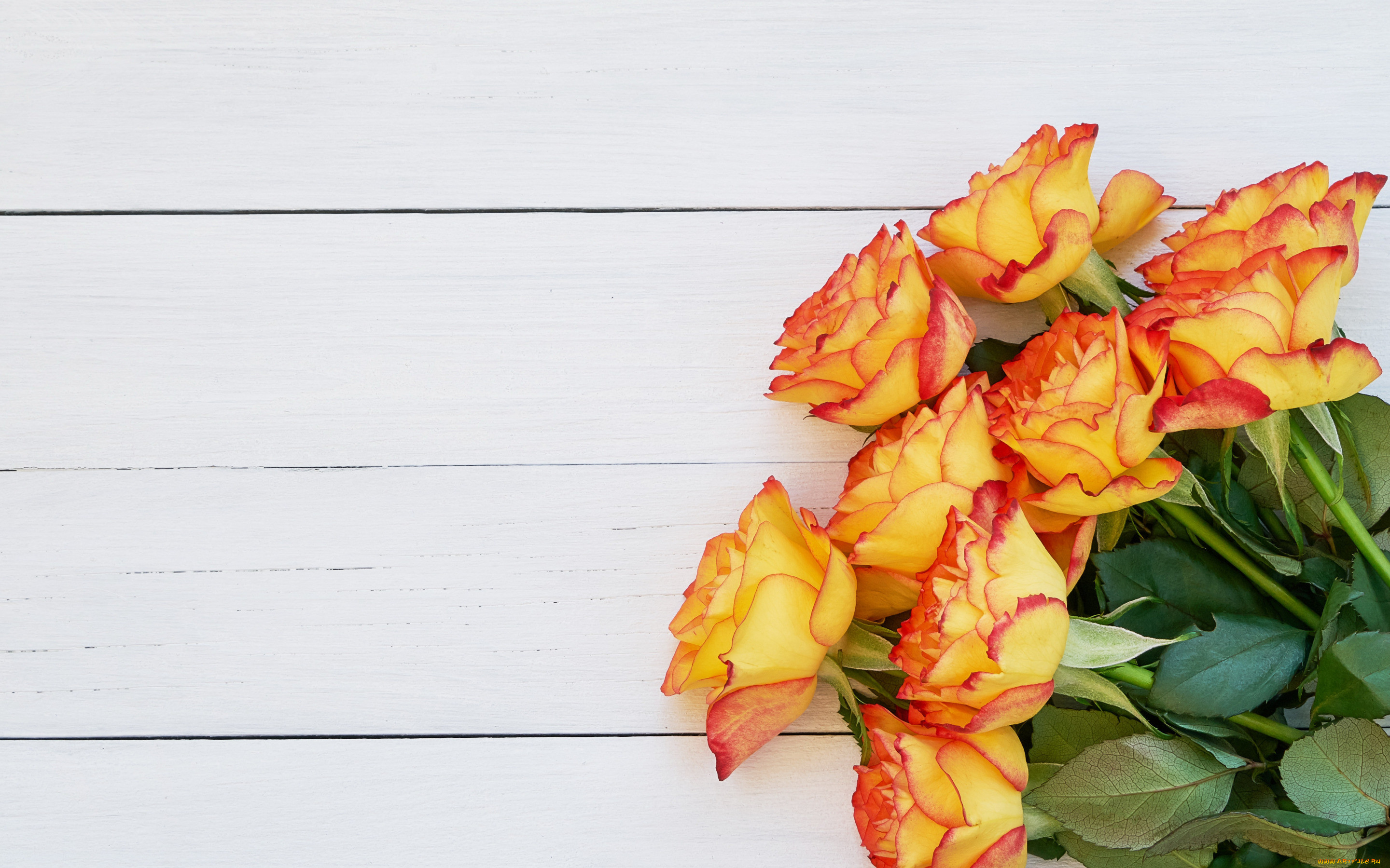 , , , wood, flowers, orange, roses